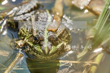 信用逾期可以供车吗 信用逾期可以供车吗