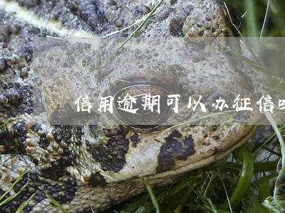 信用逾期可以办征信吗