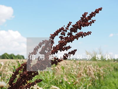 信用逾期可以办理执照吗 信用逾期可以办理执照吗