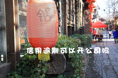 信用逾期可以开公司吗 信用逾期可以开公司吗