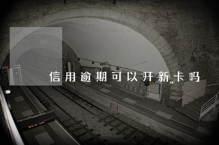 信用逾期可以开新卡吗 信用逾期可以开新卡吗