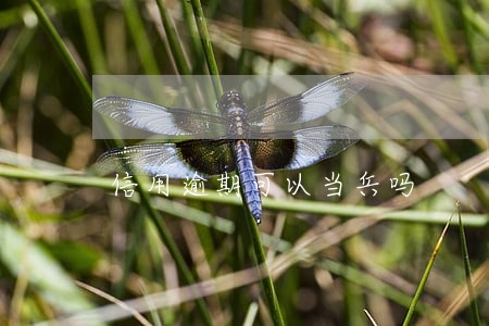 信用逾期可以当兵吗 信用逾期可以当兵吗