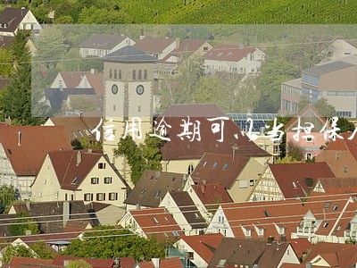 信用逾期可以当担保人吗