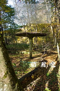 信用逾期可以找担保人吗 信用逾期可以找担保人吗
