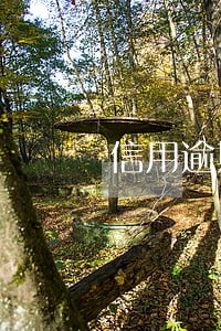信用逾期可以报考一建吗