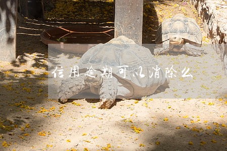 信用逾期可以消除么 信用逾期可以消除么