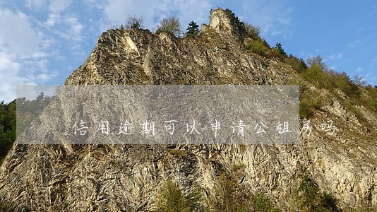 信用逾期可以申请公租房吗 信用逾期可以申请公租房吗