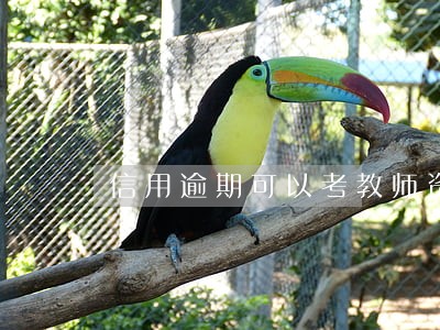 信用逾期可以考教师资格证吗 信用逾期可以考教师资格证吗