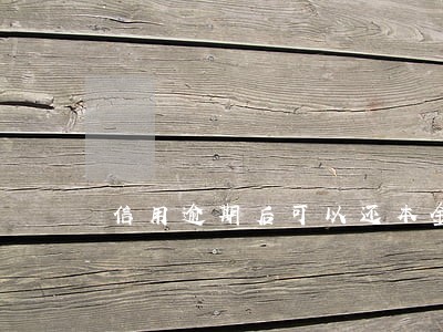 信用逾期后可以还本金吗