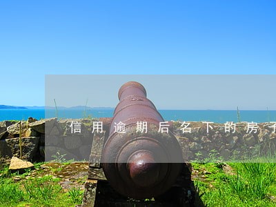 信用逾期后名下的房子会怎样