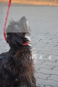 信用逾期后多久可以办理信用卡