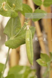 信用逾期后多久可以在申请
