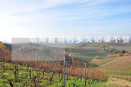 信用逾期后多久记录不显示 信用逾期后多久记录不显示