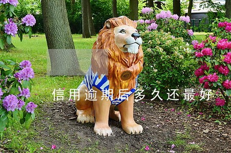 信用逾期后多久还最好 信用逾期后多久还最好
