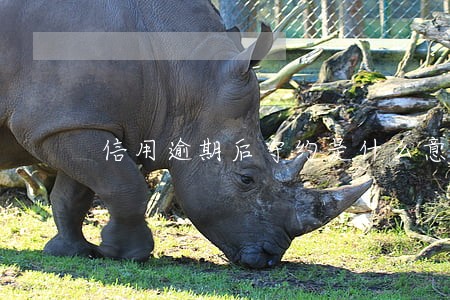信用逾期后守约是什么意思 信用逾期后守约是什么意思