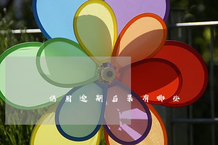 信用逾期后果有哪些 信用逾期后果有哪些