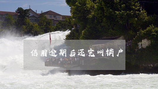 信用逾期后还完叫销户 信用逾期后还完叫销户
