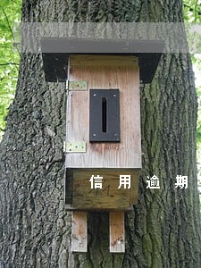 信用逾期后还款 信用逾期后还款