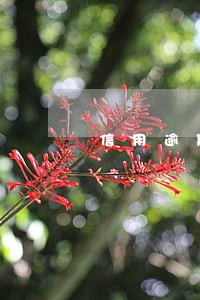 信用逾期后销卡了怎么办 信用逾期后销卡了怎么办