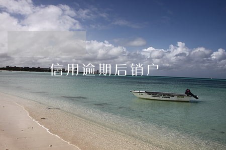 信用逾期后销户 信用逾期后销户