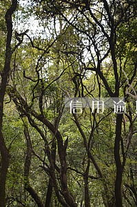 信用逾期呆账还完还能用吗 信用逾期呆账还完还能用吗