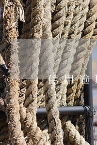 信用逾期和失信被执行人 信用逾期和失信被执行人