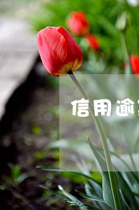 信用逾期哈尔滨不是本人 信用逾期哈尔滨不是本人