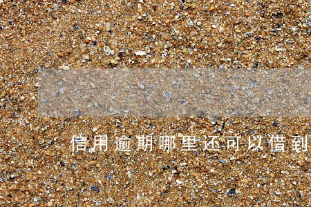 信用逾期哪里还可以借到钱 信用逾期哪里还可以借到钱