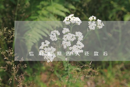 信用逾期四天还款后
