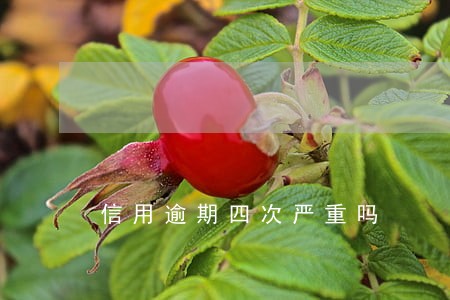 信用逾期四次严重吗 信用逾期四次严重吗