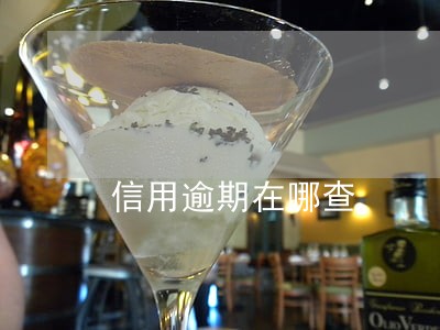 信用逾期在哪查 信用逾期在哪查