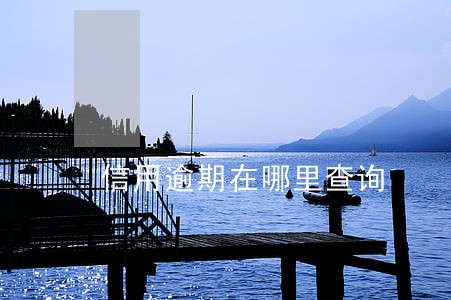 信用逾期在哪里查询