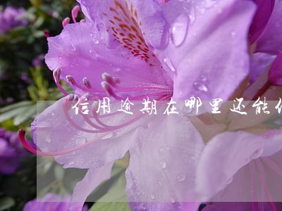 信用逾期在哪里还能代到款 信用逾期在哪里还能代到款