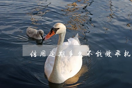 信用逾期多久不能做飞机 信用逾期多久不能做飞机