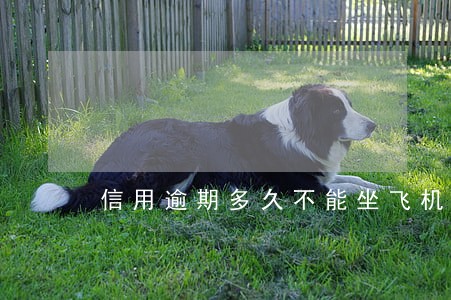信用逾期多久不能坐飞机高铁 信用逾期多久不能坐飞机高铁
