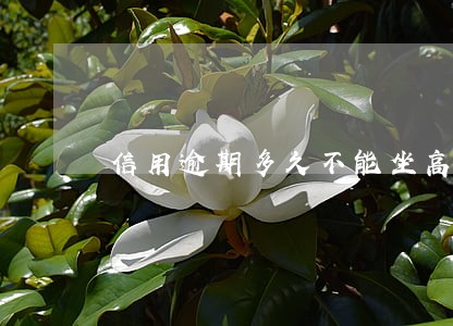 信用逾期多久不能坐高铁 信用逾期多久不能坐高铁