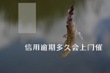 信用逾期多久会上门催 信用逾期多久会上门催