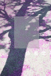 信用逾期多久会成失信 信用逾期多久会成失信