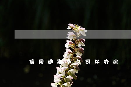 信用逾期多久可以办房 信用逾期多久可以办房