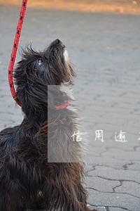 信用逾期多久才不长利息