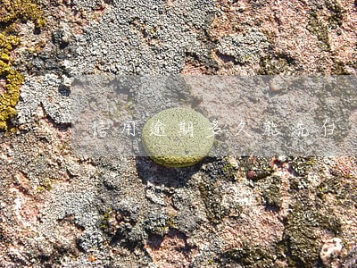 信用逾期多久能洗白