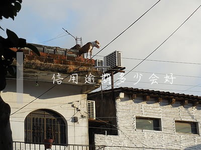 信用逾期多少会好
