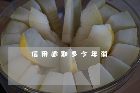 信用逾期多少年消 信用逾期多少年消