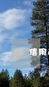 信用逾期多少算数额较大