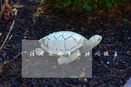 信用逾期多长时间恢复 信用逾期多长时间恢复