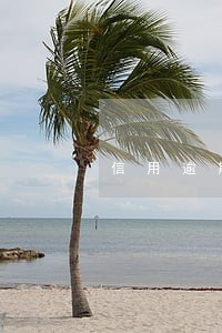 信用逾期太久成呆帐了怎么办 信用逾期太久成呆帐了怎么办