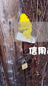 信用逾期如何网借 信用逾期如何网借
