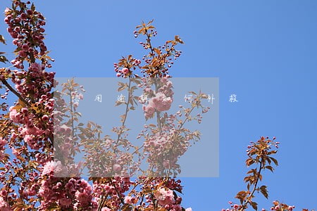 信用逾期如何补救 信用逾期如何补救