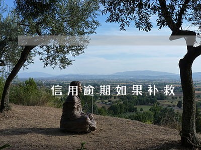 信用逾期如果补救 信用逾期如果补救