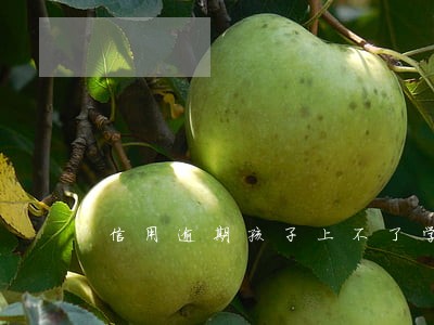 信用逾期孩子上不了学 信用逾期孩子上不了学